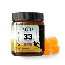 Load image into Gallery viewer, Receptra Serious Pain Relief CBD Gummies 33mg/30 Gummies